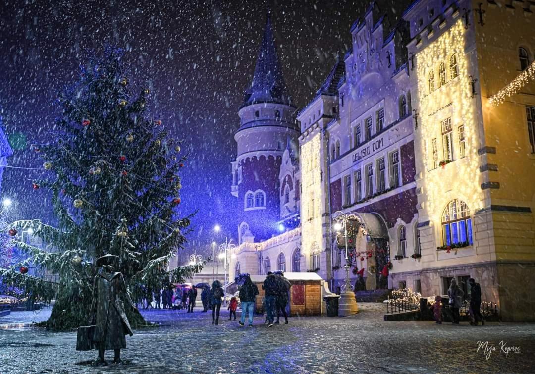 Apartment Keleia Celje Zewnętrze zdjęcie